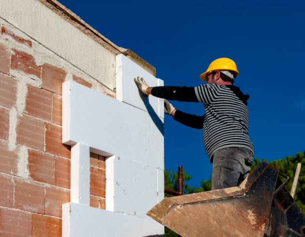 Best Local Insulation Services  in Mickleton, NJ